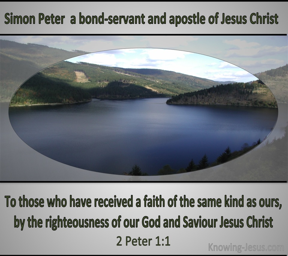 2 Peter 1:1 Like Precious Faith (gray)